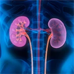 repair your kidneys naturally android application logo